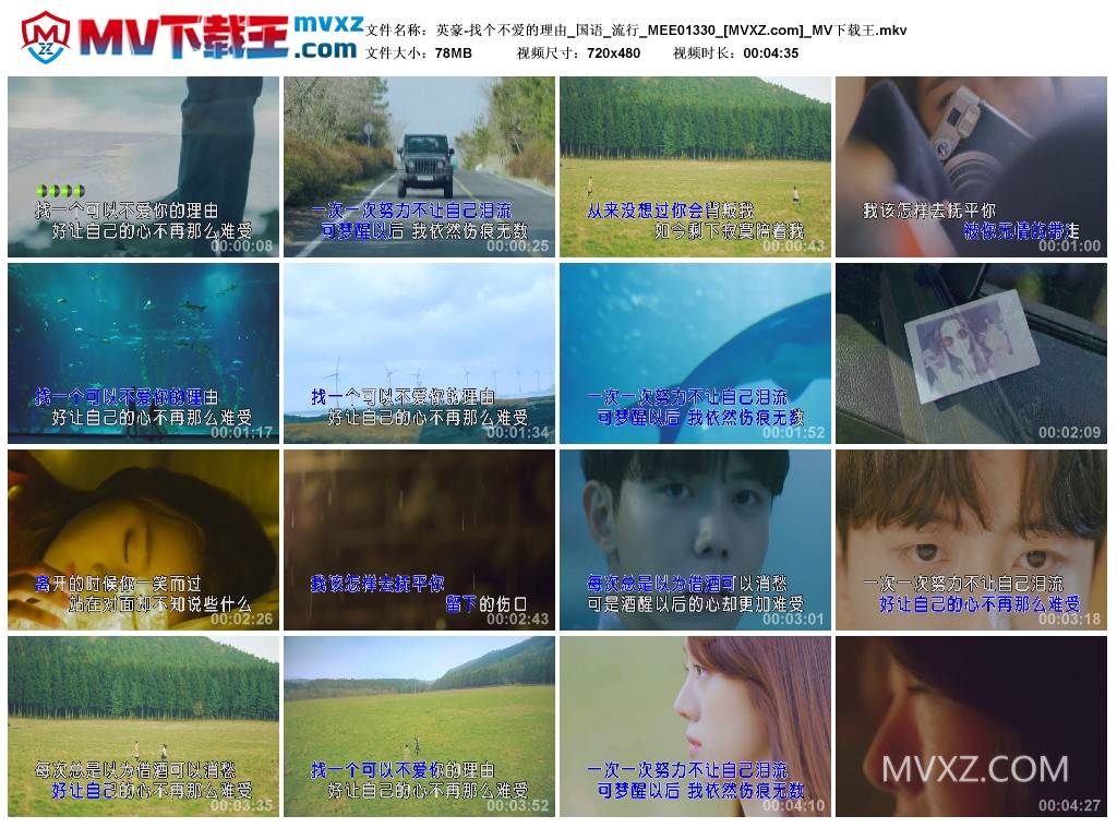 英豪-找个不爱的理由_国语_流行_MEE01330